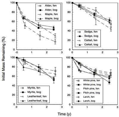 Inferring Methane Production by Decomposing Tree, Shrub, and Grass Leaf Litter in Bog and Rich Fen Peatlands